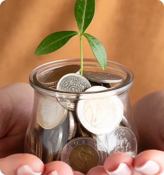 Economic Transparency
